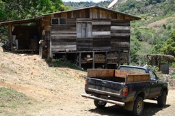 Copey-21